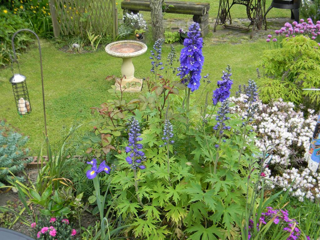 Ugiebrae House Bed & Breakfast North Sunderland 外观 照片